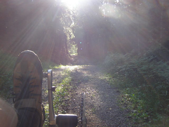 Hier wird's wohl nix mit Zelten, nur das Flevo wird zum MTB, wenn ich weiterfahre. Hab dann dennoch was sehr Nettes gefunden. Bei einem Fritidshem standen bereits ein paar Zelte, eine ganze Gesellschaft räkelte sich auf der Terasse. Ich fuhr hin und fragte, ob die denn etwas gegen ein Zelt mehr auf der Wiese einzuwenden hätten. Der Mann, den ich angesprochen hatte, sprang auf und ging die anderen Verantwortlichen fragen. Nach ca. einer Minute kam er zurück und meinte, dass es mit einigen kleinen Einschränkungen klarginge. Als ich das Zelt aufgestellt hatte und begonnen hatte, mein Essen zu kochen, kamen zwei Mädels, etwas jünger als ich, daher und sagten, sie seien jetzt mit der Gruppe noch am See, sängen dort, machten ein paar Spiele usw.. Wenn ich wollte, könnte ich da auch mit hinkommen. Gefragt, getan, man erzählte mir, es sei ein christliches Ferienlager, jedes Jahr um diese Zeit dort mit ca. 40 Kindern unter 10 Jahren. Die beiden Mädels waren da als eine Art Aufpasser mit dabei und übersetzten für mich die Spiele und erklärten, was da grad ablief. Dann wollten die Kinder natürlich auch wissen, wer das mit dem komischen Fahrrad ist, der da jetzt bei ihnen mit auf der Wiese schläft. Also eine kleine Fragerunde.Dann mussten die Kinder schlafen gehen und ich konnte mit den beiden Mädels noch etwas quatschen, was sich dann in der Küche des Fritidshems bis nach Mitternacht hinzog und über die verschiedensten Themen handelte. Am nächsten Morgen war ich noch zum Frühstück eingeladen und vor der Abfahrt musste auch noch auf Wunsch der Erzieherinnen das Flevo vorgestellt werden, was von mir aus nicht unbedingt hätte sein müssen, aber gut... auf jeden Fall auch hier vielen Dank!