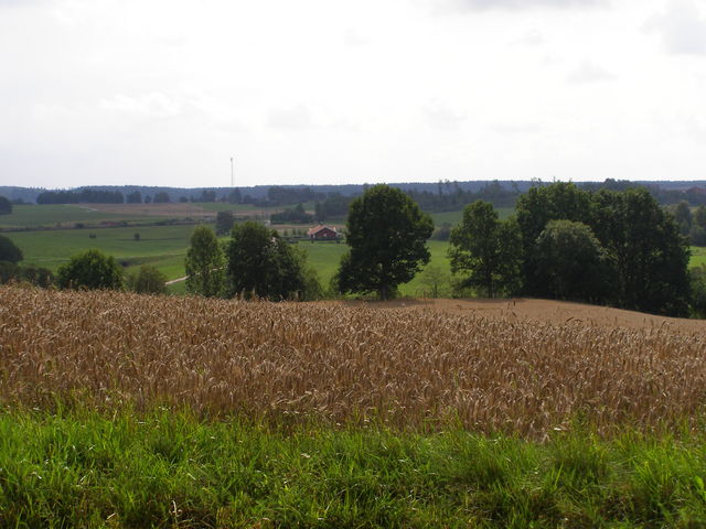 Einfach nur Landschaft mit Häuschen drin.