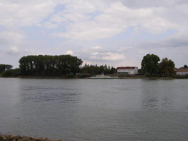 The Rhine