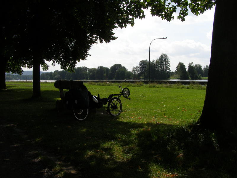 Racertje relaxing near the river Main