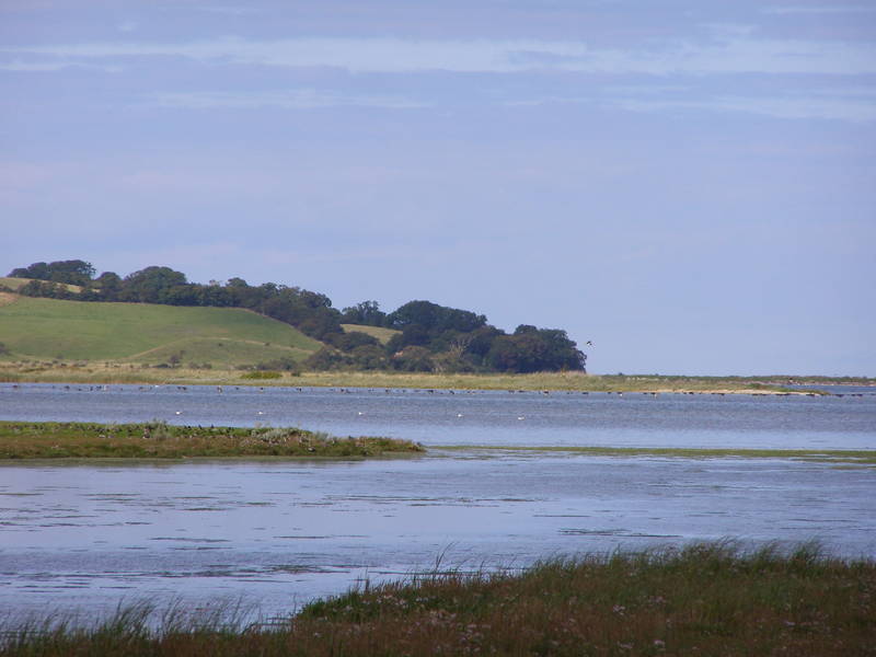 Vesterlyng, Seelands größte Heidelandschaft
