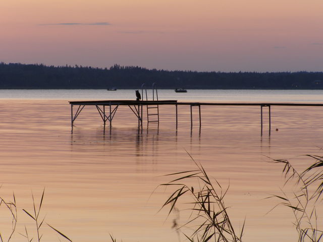 Am Abend zeigte sich der See bei Tånnö dann noch etwas ruhiger als am Tag, als ziemlich oft Motorboote vorbeifuhren.