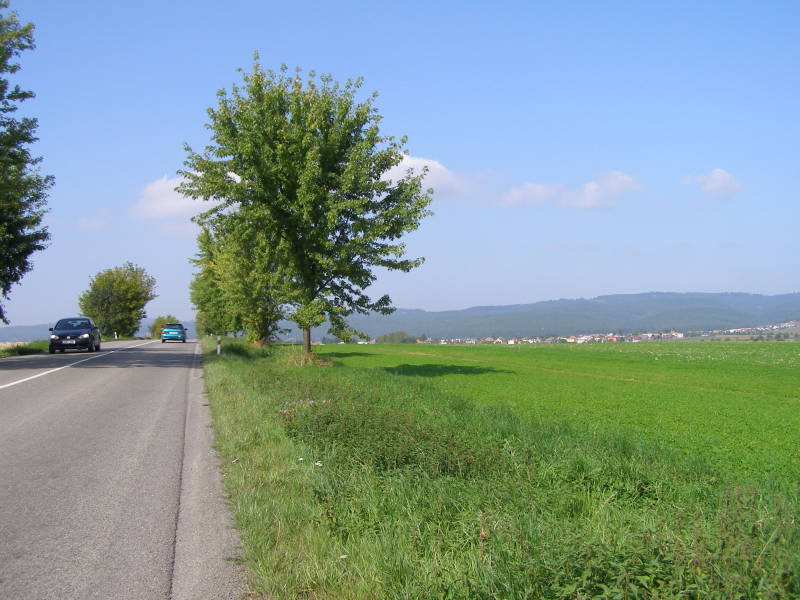 Wieder wellige Landschaft mit Hügeln