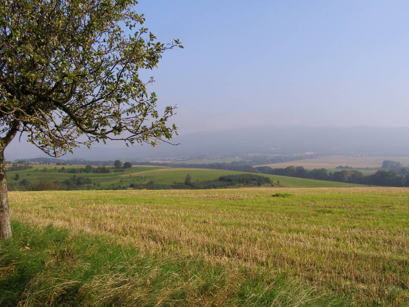 Landschaft
