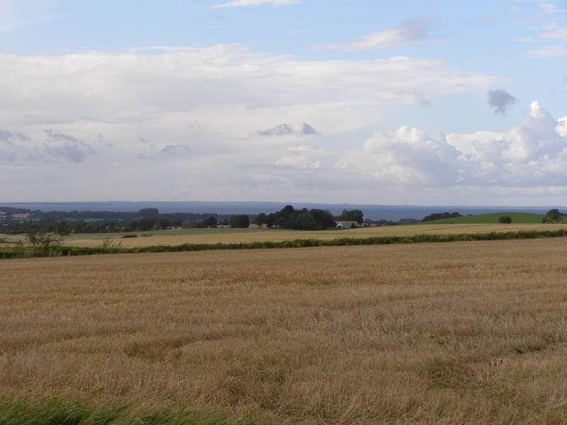 Landschaft mit Meer im Hintergrund.
