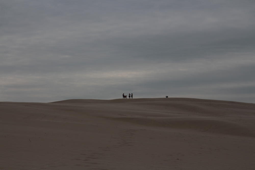 Sieht aus wie Wüste, ist aber eine Wanderdüne namens Råbjerg Mile.
