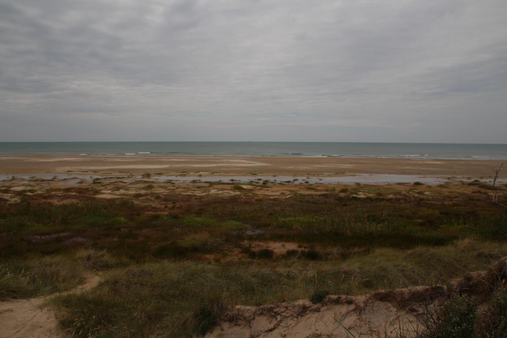 Von der Mühle aus versuchten wir ans Meer zu gelangen, da uns ein Däne einige Tage zuvor ungefähr diese Stelle als gut geeignet zum Baden beschrieb. Mit den Bremsen und dem doch recht unwegsamen weiteren Gelände haben wir diesen Plan dann aber doch begraben.
