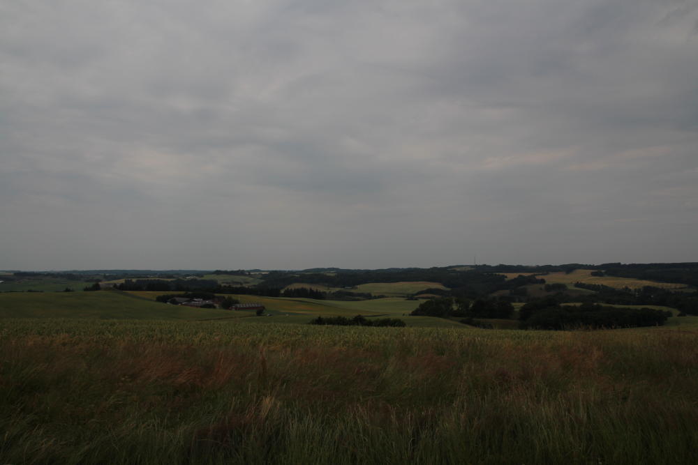 Ab heute geht es die Ostküste herab. Und diese ist gleich deutlich welliger als die Westküste.
