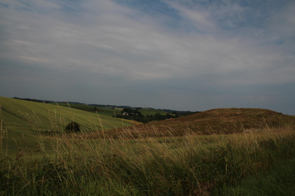 Weiterhin Hügel.
