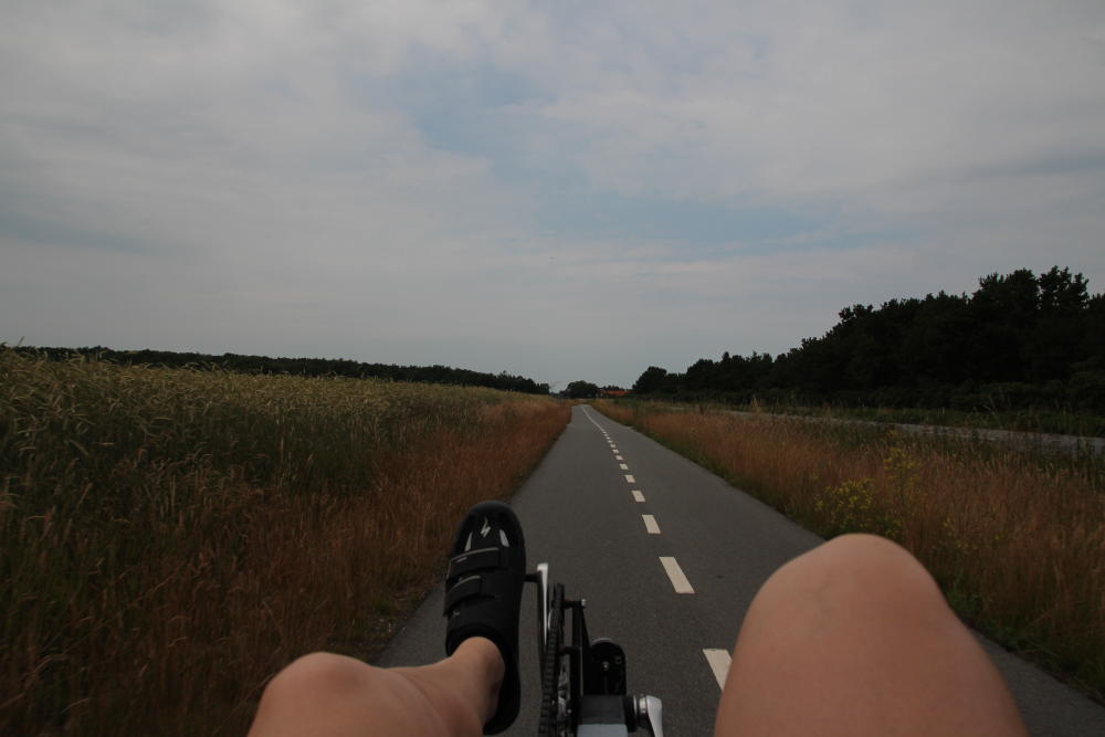 Einige Radwege sind tatsächlich auch fahrbar, wobei die Schwierigkeiten gerade mit unserem schnellen, langen Fahrrad an Kreuzungen und in Abfahrten auftauchten.
