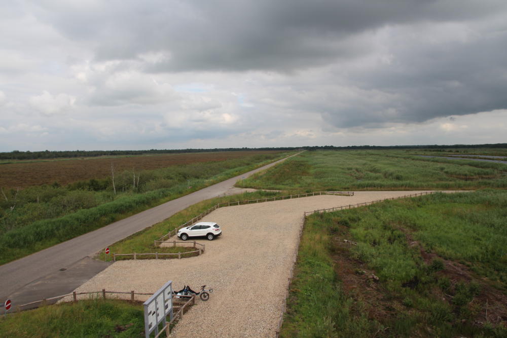 Am nächsten Tag fahren wir kilometerweit eine schnurgerade Straße durch Moorgebiete. Hier wurde Torf abgebaut, heute kann man hier vor allem Vögel und anderes Getier beobachten.
