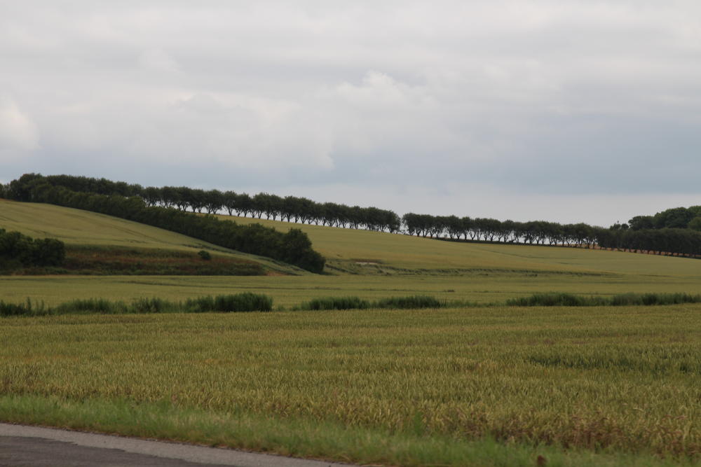 In leichten Wellen ging es weiter.
