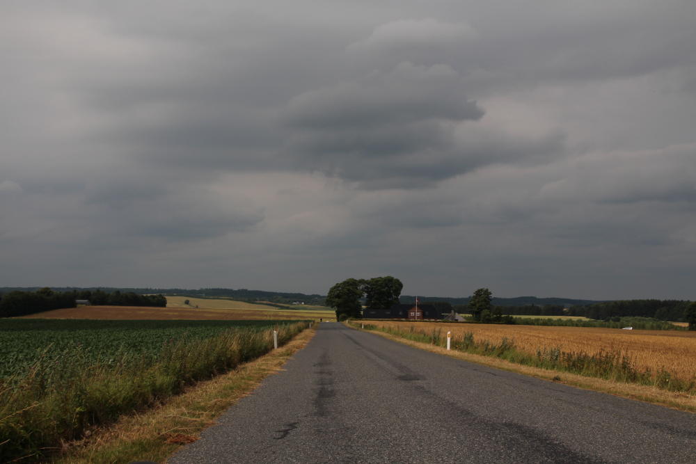 Nach Mariager fahren wir weiter gen Süden. Die Landschaft wellt sich mal mehr, mal weniger.
