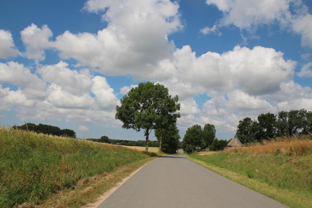 Tolle weitestgehend leere kleine Straßen auf dem Weg nach Plön am See.
