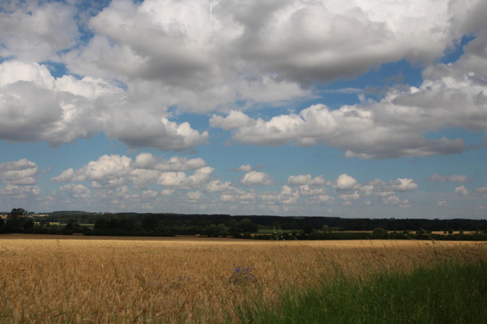 Landschaft in Richtung Büchen.
